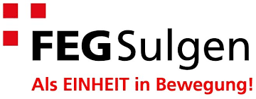 FEG Sulgen